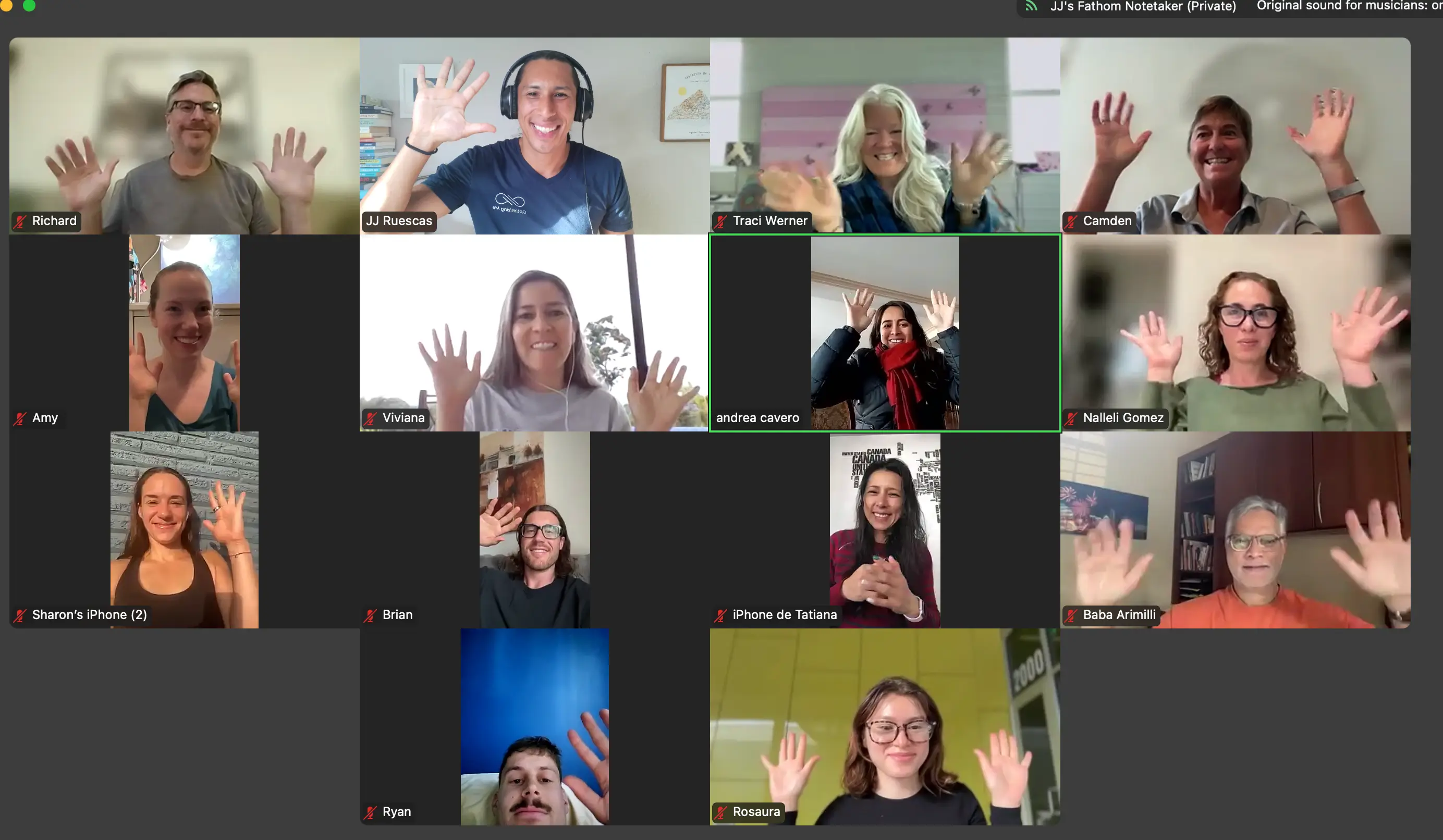 IGNITE cohort participants during a live Zoom session
